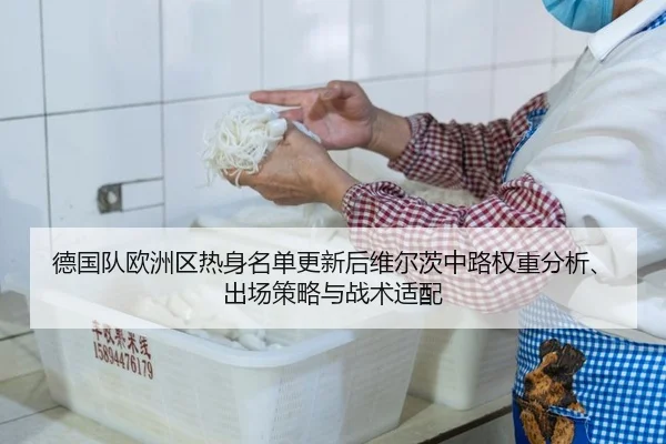 德国队欧洲区热身名单更新后维尔茨中路权重分析、出场策略与战术适配