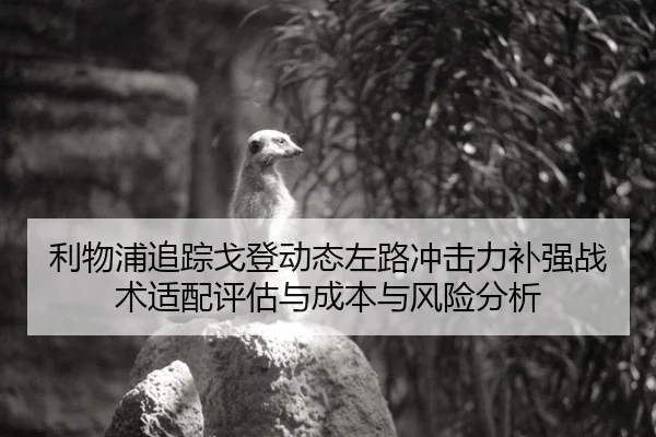 利物浦追踪戈登动态左路冲击力补强战术适配评估与成本与风险分析